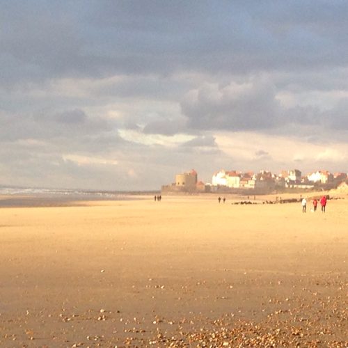 tel caro decembre 2018 585